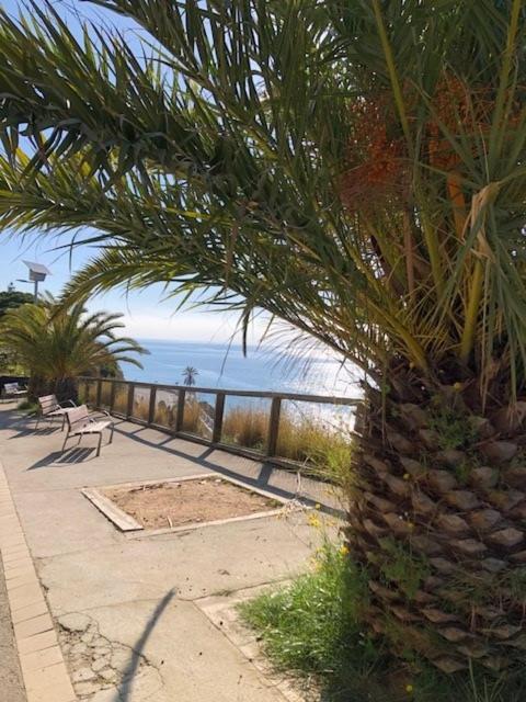 The Hollidays Apartment Calella Eksteriør bilde