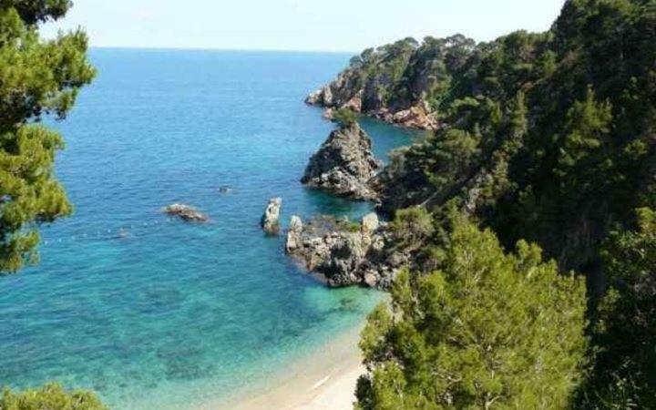 The Hollidays Apartment Calella Eksteriør bilde